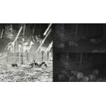 Naháňka tento víkend