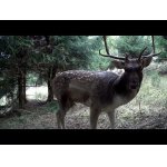 Na říjištích 2025