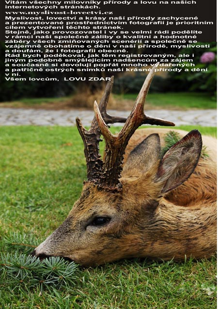 Vítejte