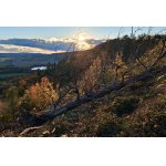 Vyhlídka do Moravské brány