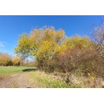 Krásný podzimni den