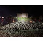 Na zajacoch v Maďarsku