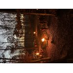 Na diviakoch na Slovensku