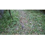 Vidí tam niekdo niečo?