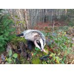 A pro letošek poslední...