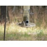 Pohoda na "krmelci".