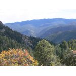 Hluboke hvozdy a bez lidi!