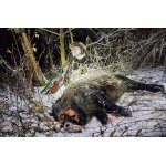 Na prvním vlčím sněhu