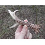 Masivní těžký shoz má líbivou kresbu a zabarvení