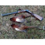 2.Z HONU NA BAŽANTY.