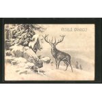 Stara pohlednice 1902.Vesele vanoce vsem.