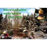 VÁNOČNÍ PŘÁNÍ.