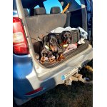 Pauza po 1. leči štěpánské naháňky. Idar a Nero