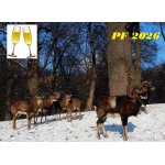 ŠŤASTNÝ NOVÝ ROK.