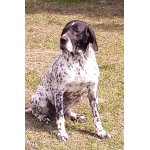 Atos ze Sloupnických lesů 11.5.2011-23.12.2025