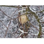 lojová koule pro ptáčky