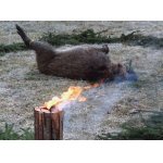 Z NAHÁŇKY U KAMARÁDA.