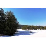 ZIMNÍ SLUNEČNÍ DEN.