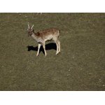 POHODA NA SLUNÍČKU.