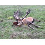 Slovensko december 2025.