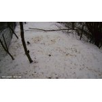 Dobrá jablon pre vše.