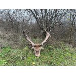 Slovensko december 2025