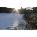 SLUNEČNÍ DOPOLEDNE.