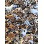 Dnešní vidláček!