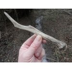 První shoz nalezený v roce 2026 na srnčím ochozu u potoka 