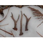 Letošní první výprava na shozy, když už konečně slezl sníh