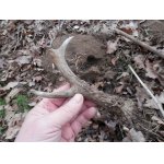 Fotka na přání. Jirko takhle vypadal celý shoz z krtince