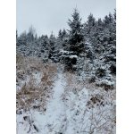 Bílé peřině se už čas krati.