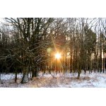 1.KDYŽ ZASVÍTÍ SLUNÍČKO.