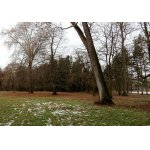 JAKO NA PODZIM....:-)))