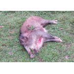 2.Z NAHÁŇKY U PŘÁTEL.