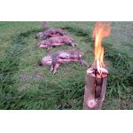 1.Z NAHÁŇKY U PŘÁTEL.