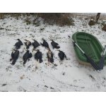 Když mate pomocníka a nemusíte  pro ně plavat  