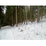 2.ZIMA JEŠTĚ NESKONČILA.