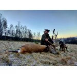 Jedno krásné ráno