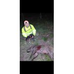 Jagy z Pištínského remízu 