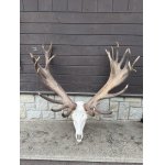 Slovensko december 2025.