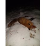 Včerejši rozloučeni s bílou peřinou