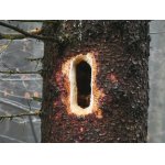 Práce mistra tesaře