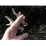 Včera odpoledne se spolu po nějakém čase opět setkaly