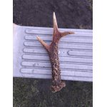 Po,tenhle šel líp!