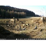 Hřivnáči jsou u nás už týden