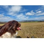 Dnešní slunění na loukách než nám zarostou