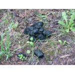 Kdopak to tu asi nechal ?