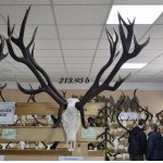 Chovateľská prehliadka trofejí poľovníckej sezóny 2025/2026-Poprad.