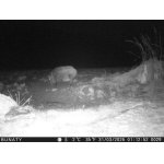 Dnes - v očekávání